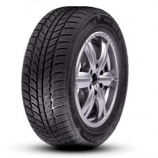 Зимние шины 205/45 R16 Roadx Frost WH01 87H XL